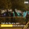 Accident mortel à Sanary, réhabilitation du lycée Bonaparte à Toulon, grève à la SNCF: voici votre brief info de mardi après-midi