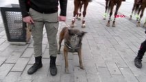 Polis köpekleri taksim'de yılbaşı devriyesine başladı