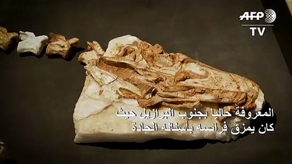 ديناصور غناثوفوراكس المفترس جاب سهول البرازيل قبل ملايين السنين