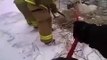 Des pompiers tentent de sauver un cheval prisonnier de la glace