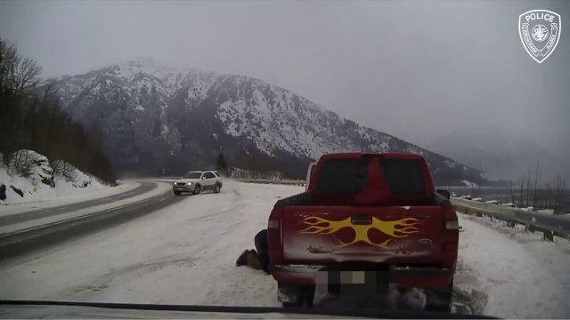 Ce conducteur arrêté en bord de route va avoir une grosse frayeur