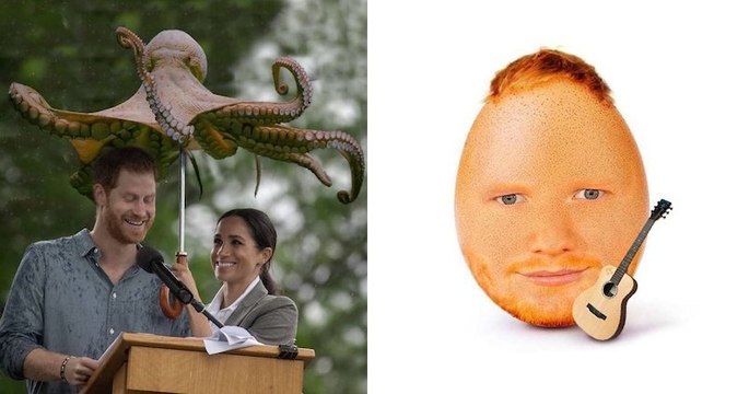 Grâce à ses talents de designer, il incruste des animaux partout, jusqu'à la famille Royale d'Angleterre et Ed Sheeran