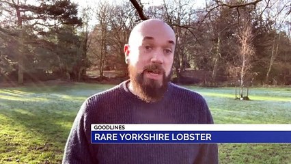 GOODLINES: 1st January 2020