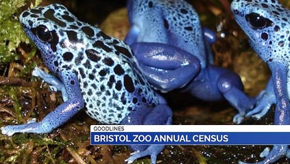 GOODLINES: 1st January 2020