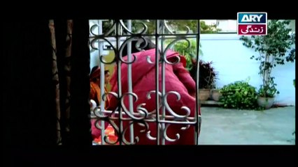 Sabz Qadam Episode 18 | 31st December 2019