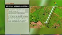 teleSUR Noticias: Colombia: Pdte. emite decreto para fumigar plantíos