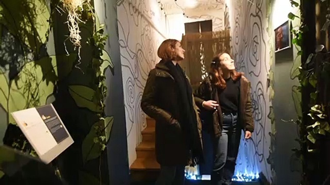 Rausch und Kater im Museum