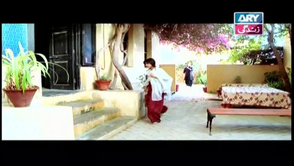 Meri Ladli Episode 19 | 31st December 2019