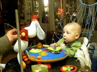 Z'avez jamais vu 1 âne à grandes z'oreilles