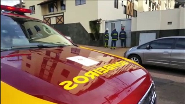 Cães da raça pitbull são resgatados por Bombeiros, na Neva; equipe precisa identificar donos dos animais