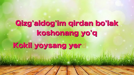 #karaoke Yulduz Usmonova - Qizg'aldoq