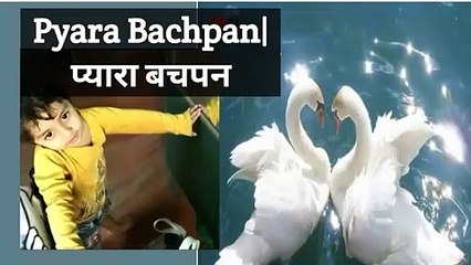 Pyara Bachpan|प्यारा बचपनCute child,Cute childhood,Sweet memories,Golden days with baby,Baby play day,