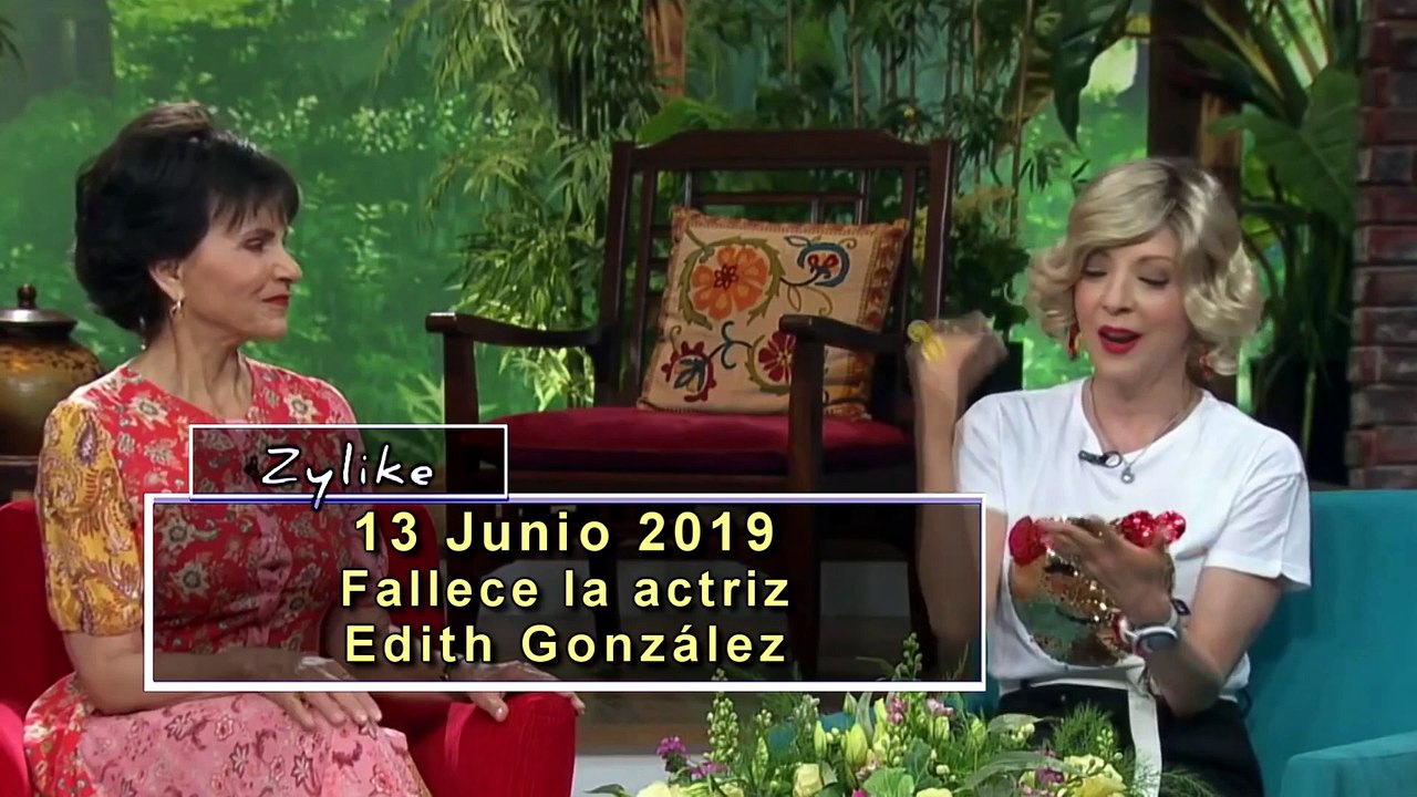 Zylike 2019