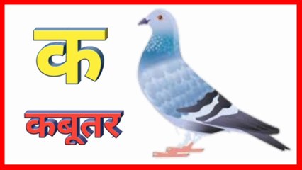 ka se kabutar kha se khargosh, क से कबूतर ख से खरगोश। हिन्दी वर्णमाला, learn 36 hindi varnamala letters with pictures। k se Kamal , क से कबूतर , k se kabutar,  Nursery Rhymes , Rhymes , Nursery Rhymes Collection , Popular Nursery Rhymes , itsy bitsy spide