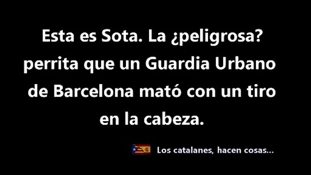 Las malas pulgas de Ada Colau por este nuevo nuevo vídeo de la perra 'Sota' abatida a tiros por la Guardia Urbana