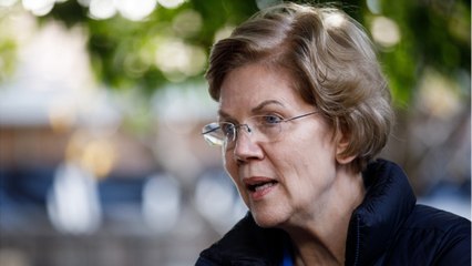 Warren Says Trump Must Be Removed From Office For Fair Election