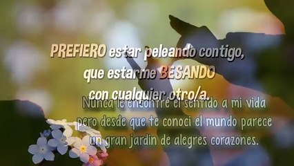 Amor te dedico este Vídeo ♡ ♥