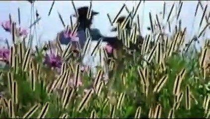 The Color Purple (1985) Trailer
