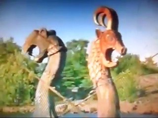 И на камнях растут деревья