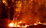 Australian Wildfires Lead to Forced Evacuations As Lingering Smoke Turns New Zealand Skies Yellow