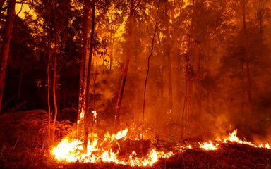 下载视频: Australian Wildfires Lead to Forced Evacuations As Lingering Smoke Turns New Zealand Skies Yellow