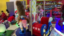 Pooches Play on Carousel
