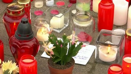 Mueren 30 animales por un incendio en un zoo alemán