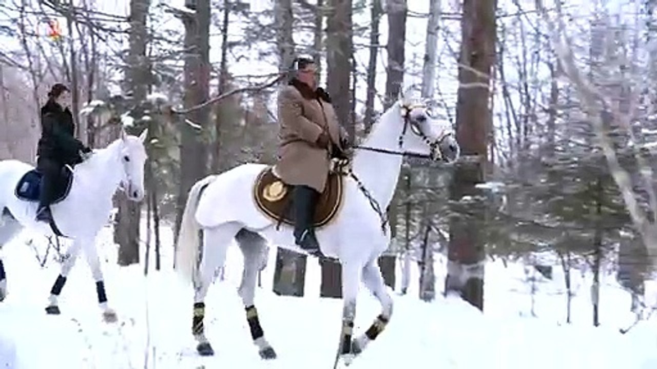 Cavalos e anúncios
