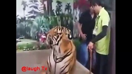 WHATSAPP MOST VIRAL FUNNY VIDEOS 2020 FUNNY PRANKS TRY NOT TO LAUGH CHALLENGE