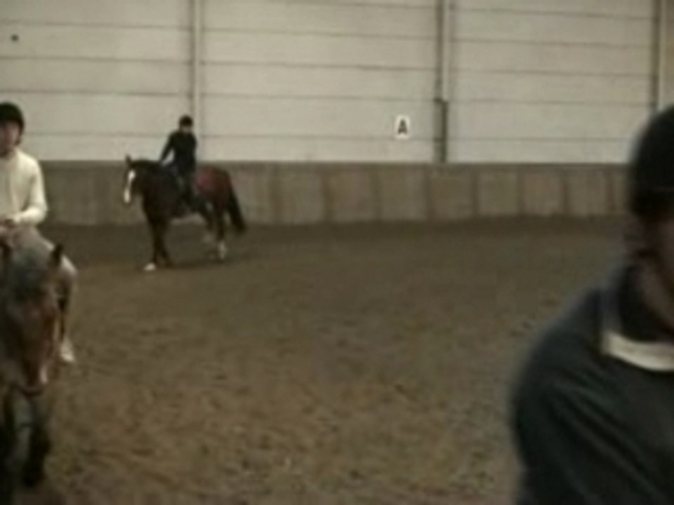 Chute de cheval  charley