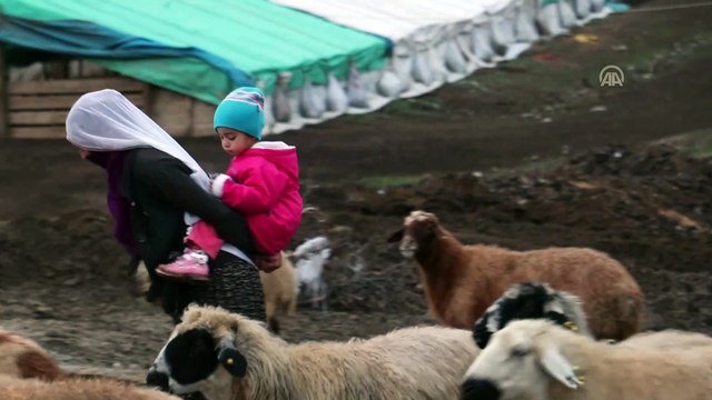 Yeni yıla, çetin kış şartlarında merada girdiler - ELAZIĞ