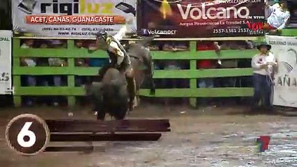 2 Micro Taurino 31 Diciembre 2019