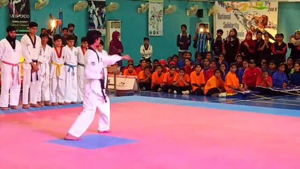 Sona Solidarity National Taekwondo Championship|Part 2