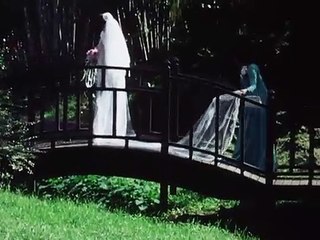 The Birth of Magellan -Cadenza 1- Directed by Hollis Frampton (1980, 5 Mins)