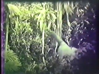 O Príncipe Dinossauro dublado