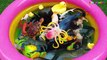 Learn Sea Animals Wild Animals Farm Animals With Toys in Water Pool