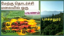 WESTERN GHATS || pachaloor  || TAMILNADU
