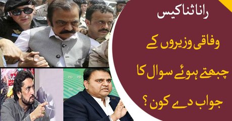 Federal Ministers raised Questions on Rana Sanaullah's bail