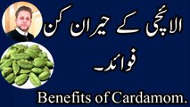 Health Benefits Of Cardamom [Sabz Elaichi Benefits ] Elaichi Ke Fayde  By M younas in Urdu/Hindi.