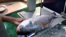 Fish cutting method । Fish cutting with machine | Fish cutting by machine