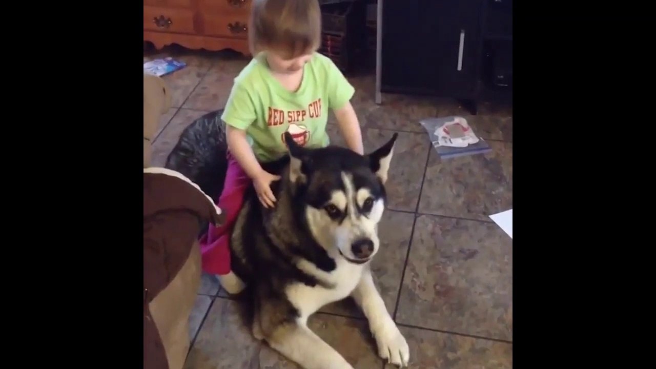 FUNNY_BABIES_ANNOYING_DOGS_-_CUTE_DOGS
