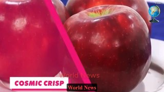 Taste-testing the new Cosmic Crisp apple (Video) World News