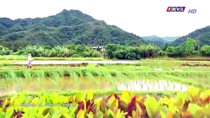 Đại Thời Đại Tập 278 - Phim Đài Loan Tap 279 - THVL1 Lồng Tiếng - Phim Dai Thoi Dai Tap 278