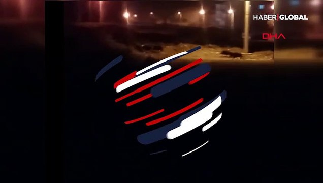 Yavrularında bulunduğu domuz sürüsü şehre indi