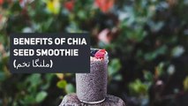 Health benefits of chia seeds in Detox Green Smoothies- weight loss smoothies recipes