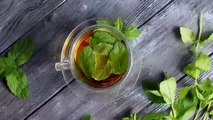 Mint Tea Natural weight loss -Best detox drinks