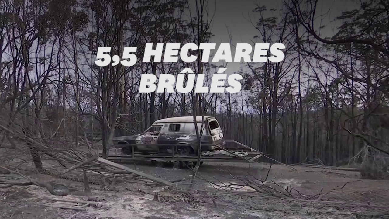 Des milliers d'Australiens se réveillent en 2020 au milieu des incendies