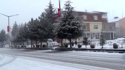 Ahlat'ta kar yağışı
