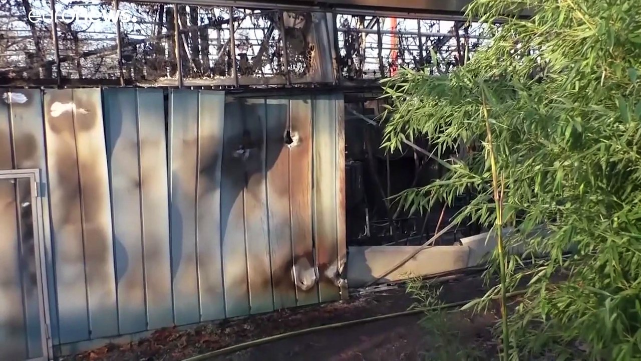 Zoo Krefeld: Mögliche Brandverursacher stellen sich