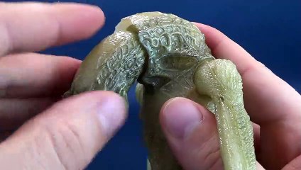 NECA Toys Alien Ressurection Newborn Figure Review